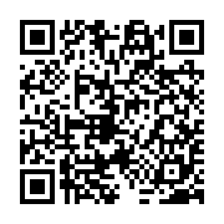 QR code for 2G3295A