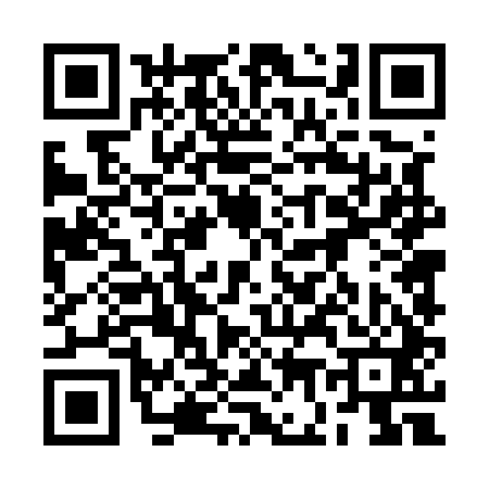 QR code for 2G4541T