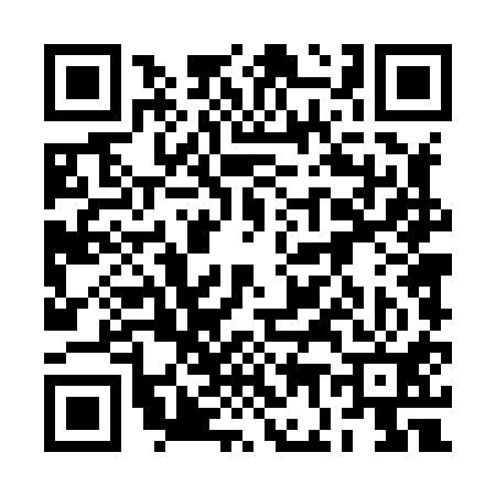 QR code for 2G4811T
