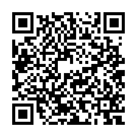 QR code for 2H2317M