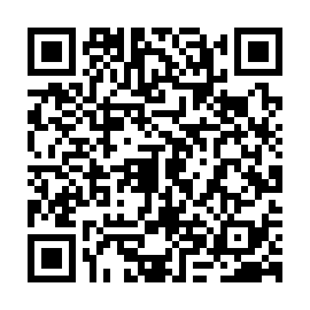 QR code for 2HLS397