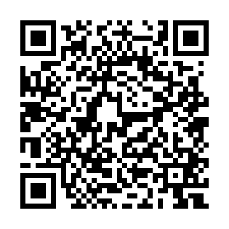 QR code for 2K07411