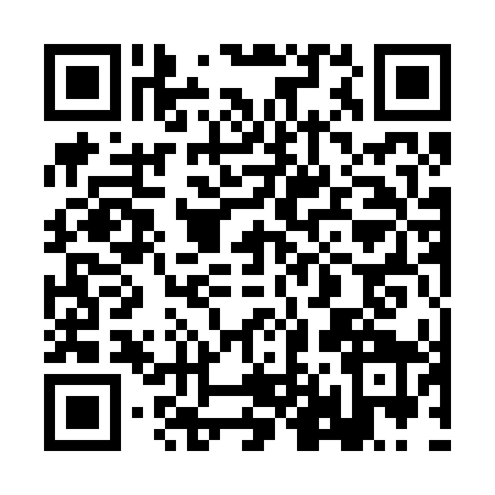 QR code for 2L12497