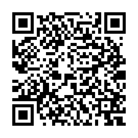 QR code for 2LSR029