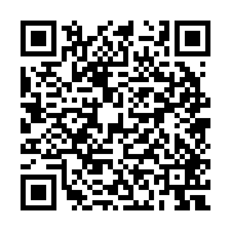QR code for 2N0249N