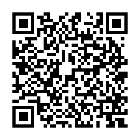 QR code for 2N1206W