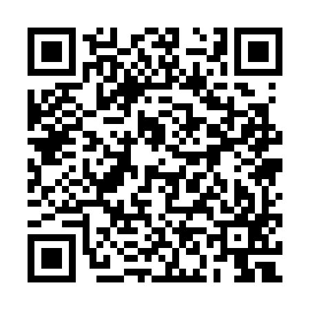 QR code for 2N1397H