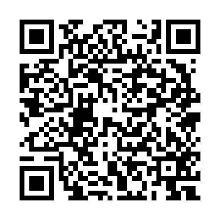 QR code for 2N1656B