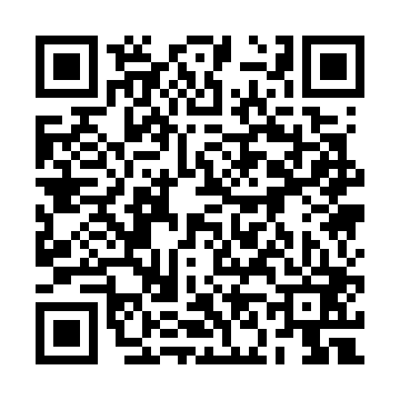 QR code for 2N1703Y