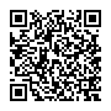 QR code for 2N2058P