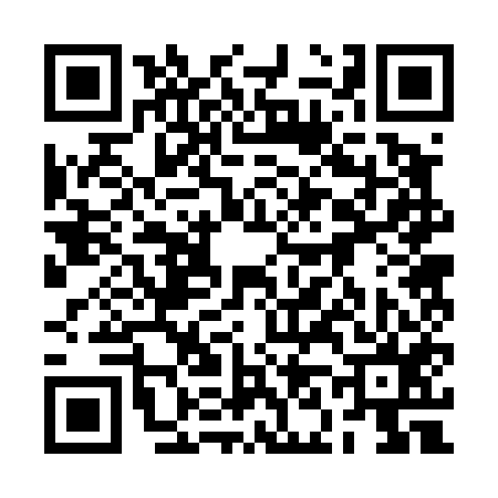 QR code for 2N2455Y