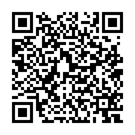 QR code for 2N33160