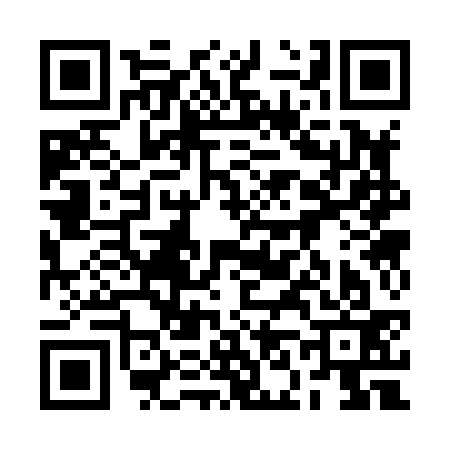 QR code for 2N3833G