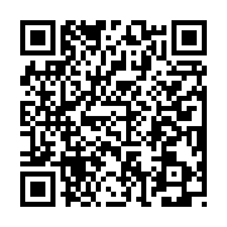 QR code for 2N38938