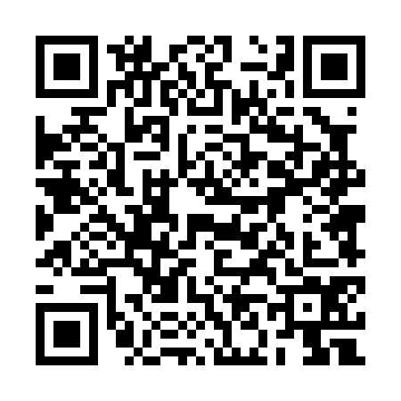 QR code for 2N40742