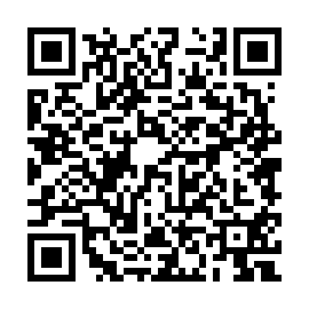 QR code for 2N46101