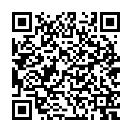 QR code for 2N52228
