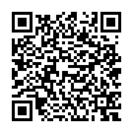 QR code for 2N5335L