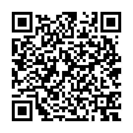 QR code for 2N56307