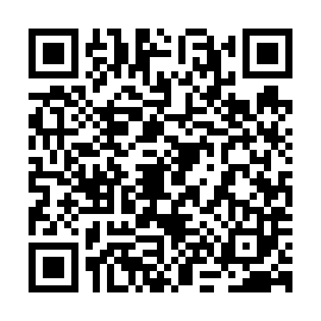 QR code for 2N56838