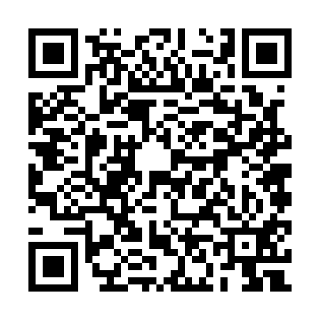 QR code for 2N6111S