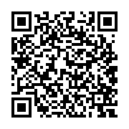 QR code for 2N63077