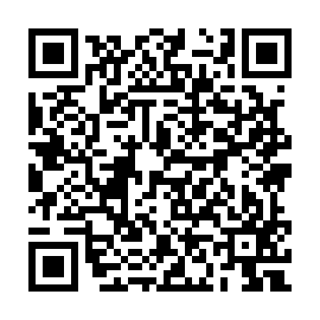 QR code for 2N9197N