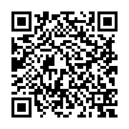 QR code for 2NLH338