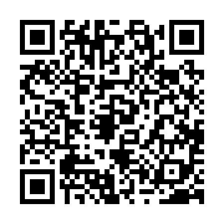 QR code for 2P0299G