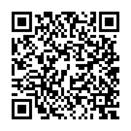 QR code for 2P2541G