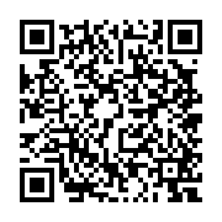QR code for 2P5041Z