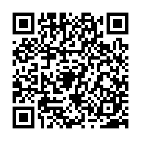 QR code for 2P53878