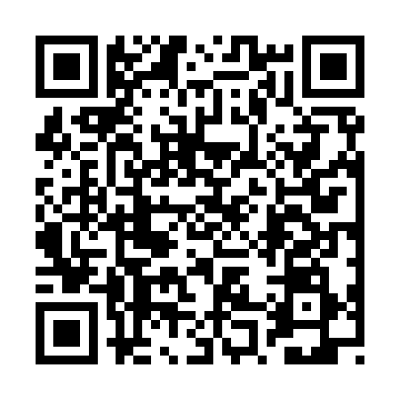 QR code for 2P6938T