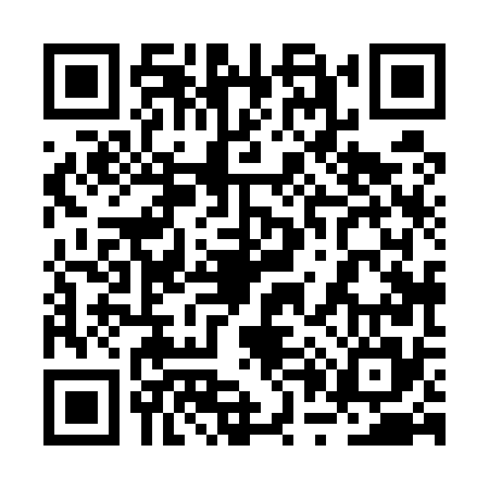 QR code for 2P8575N