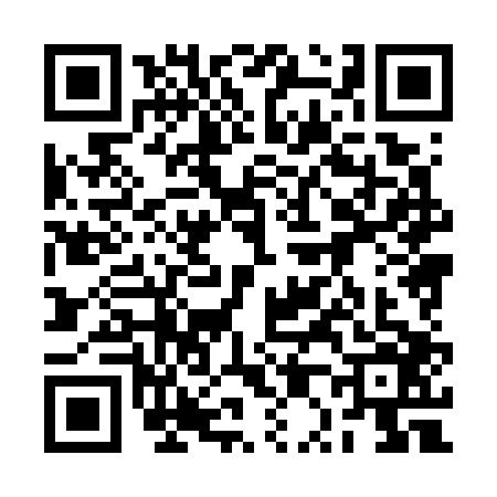 QR code for 2P87063