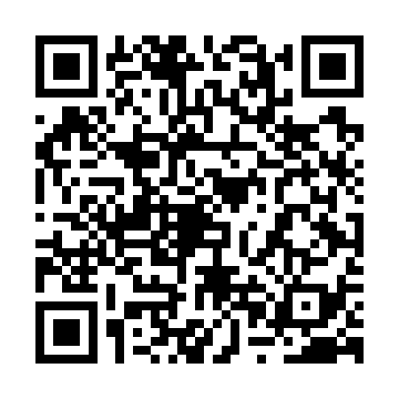 QR code for 2PDG393
