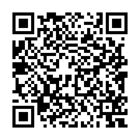 QR code for 2PL1173
