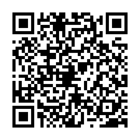 QR code for 2PLZ290