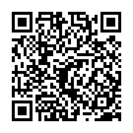 QR code for 2PPD853