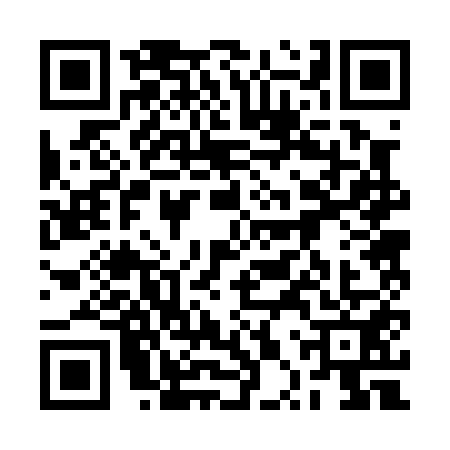 QR code for 2PR0511
