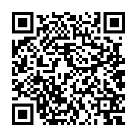 QR code for 2PV0234