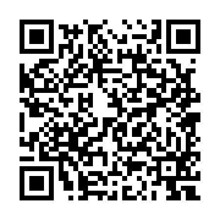QR code for 2S0196Z