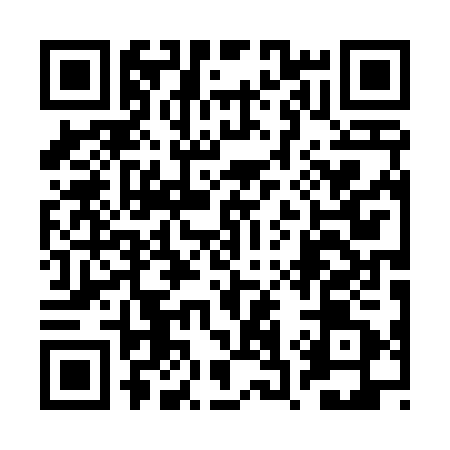 QR code for 2S0421P