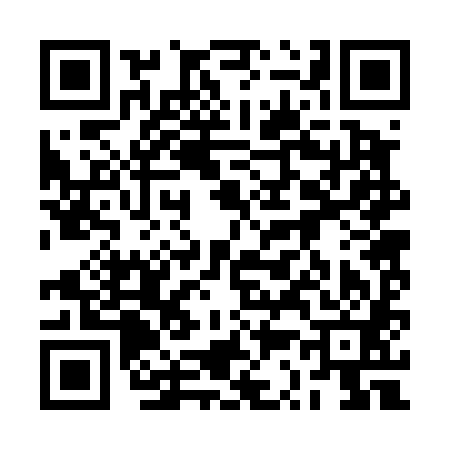 QR code for 2S2481M