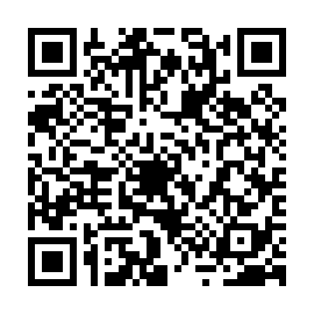 QR code for 2S30384