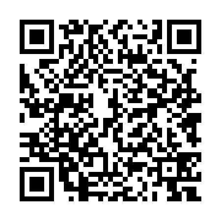 QR code for 2S41392
