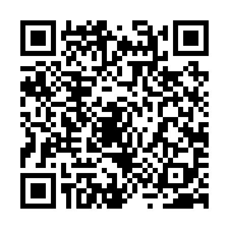 QR code for 2S42993