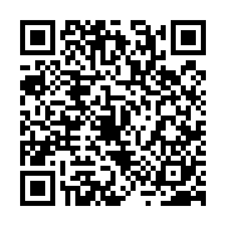 QR code for 2S6520D