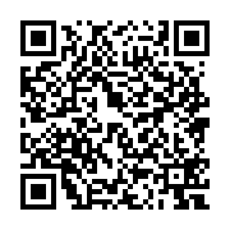 QR code for 2S87196