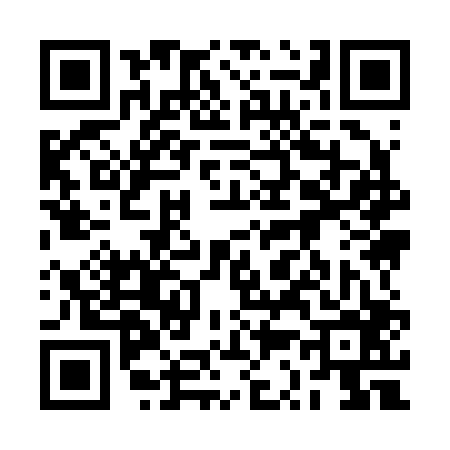 QR code for 2S9206P